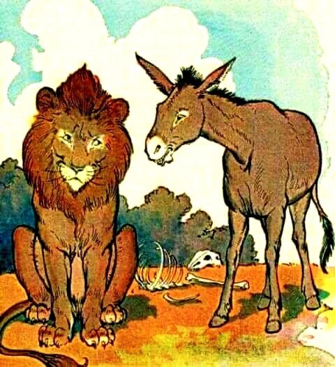 No discutas con burros